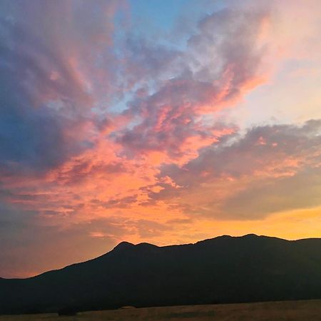 Agriturismo Il Ginepro Fluminimaggiore Dış mekan fotoğraf
