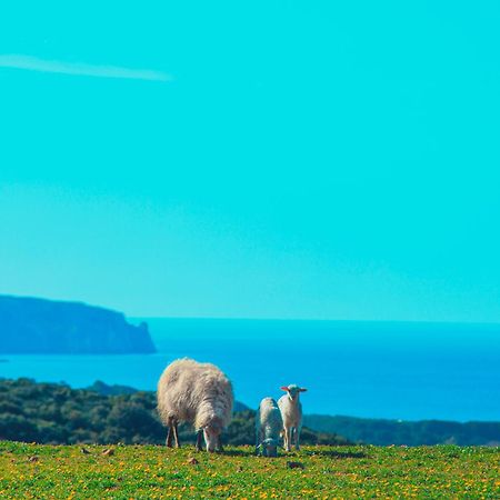 Agriturismo Il Ginepro Fluminimaggiore Dış mekan fotoğraf