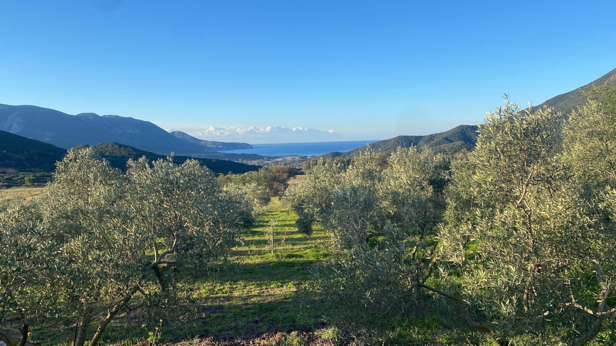 Agriturismo Il Ginepro Fluminimaggiore Dış mekan fotoğraf