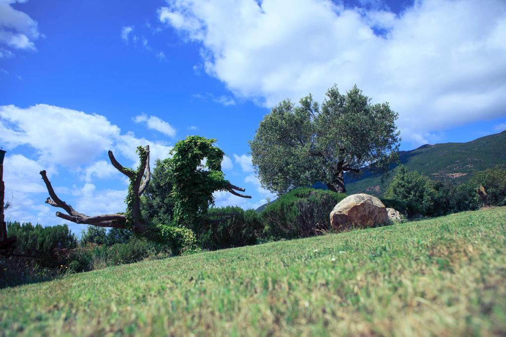Agriturismo Il Ginepro Fluminimaggiore Dış mekan fotoğraf