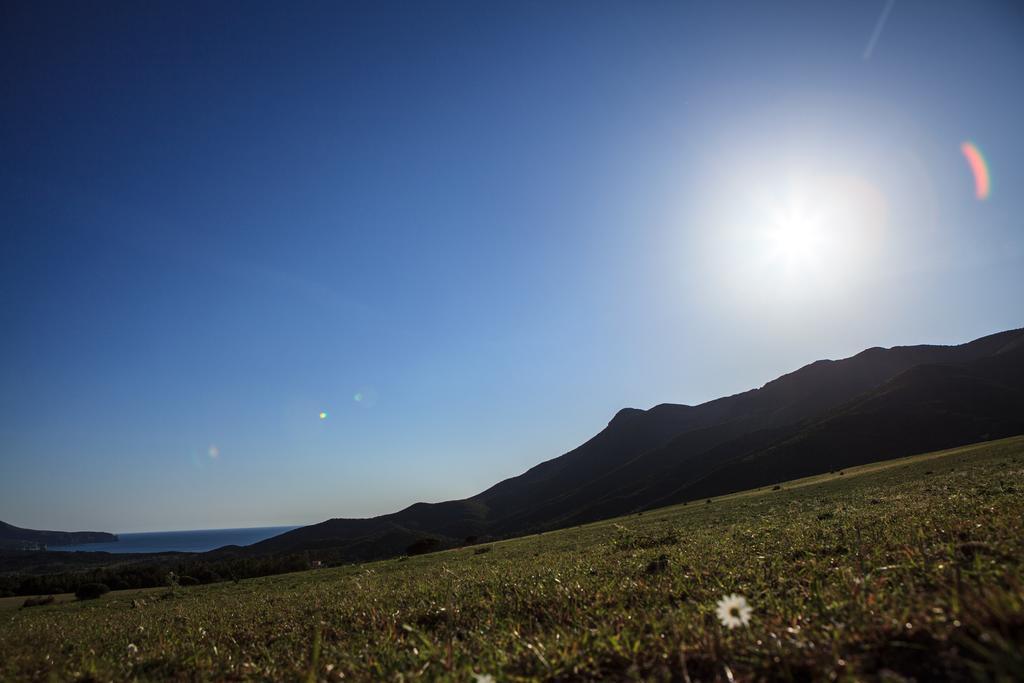 Agriturismo Il Ginepro Fluminimaggiore Dış mekan fotoğraf