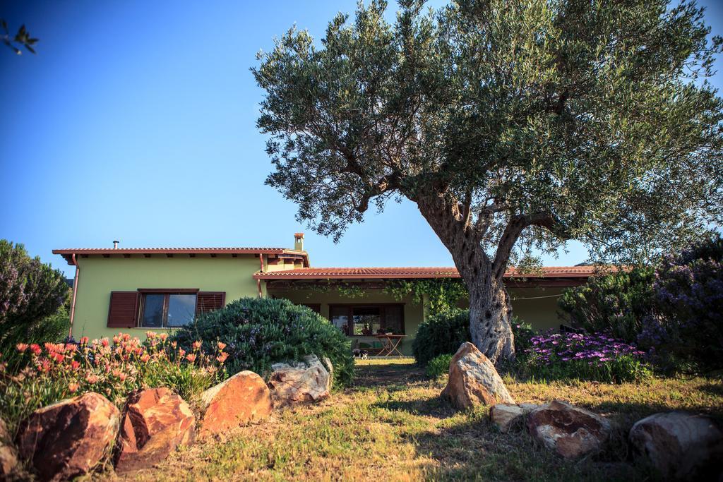Agriturismo Il Ginepro Fluminimaggiore Dış mekan fotoğraf