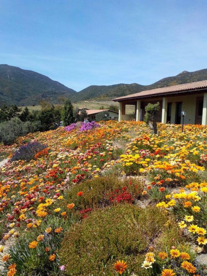 Agriturismo Il Ginepro Fluminimaggiore Dış mekan fotoğraf