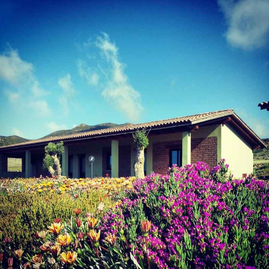 Agriturismo Il Ginepro Fluminimaggiore Dış mekan fotoğraf
