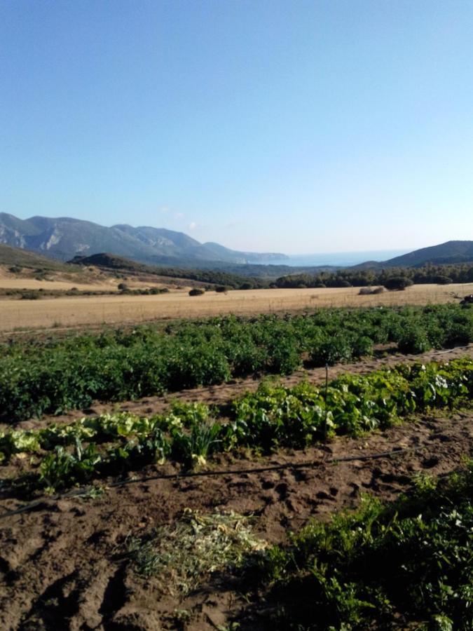 Agriturismo Il Ginepro Fluminimaggiore Dış mekan fotoğraf